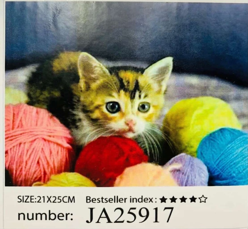 5D Yapışan Boncuk Goblen Mozaik Tablo Pano 21*25 cm