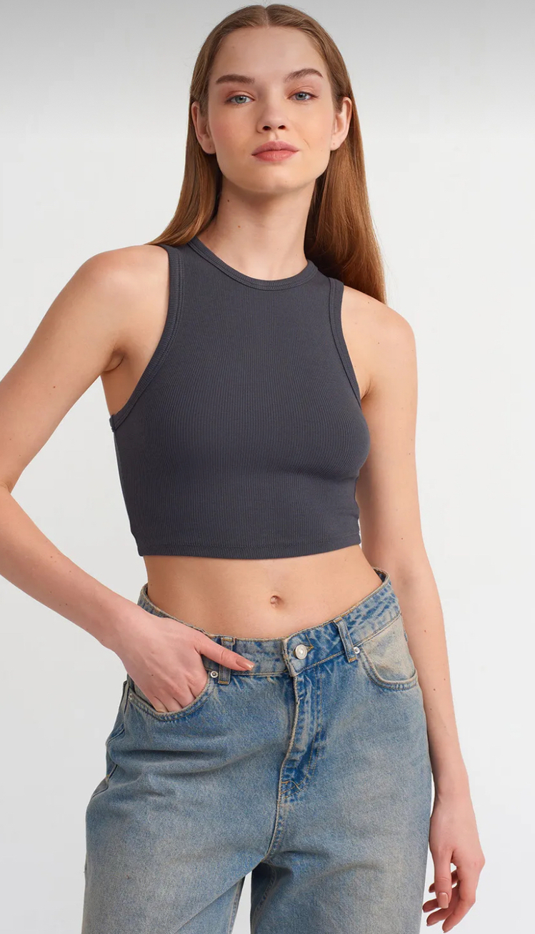 Dilvin dikiş efektli crop top antresit