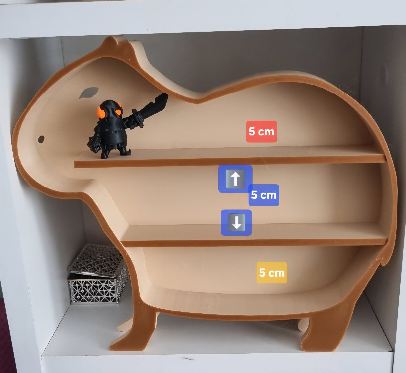 kapibara standı