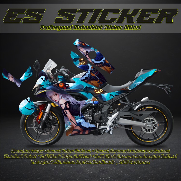 VOGE 250 RR KAPLAMA SETİ