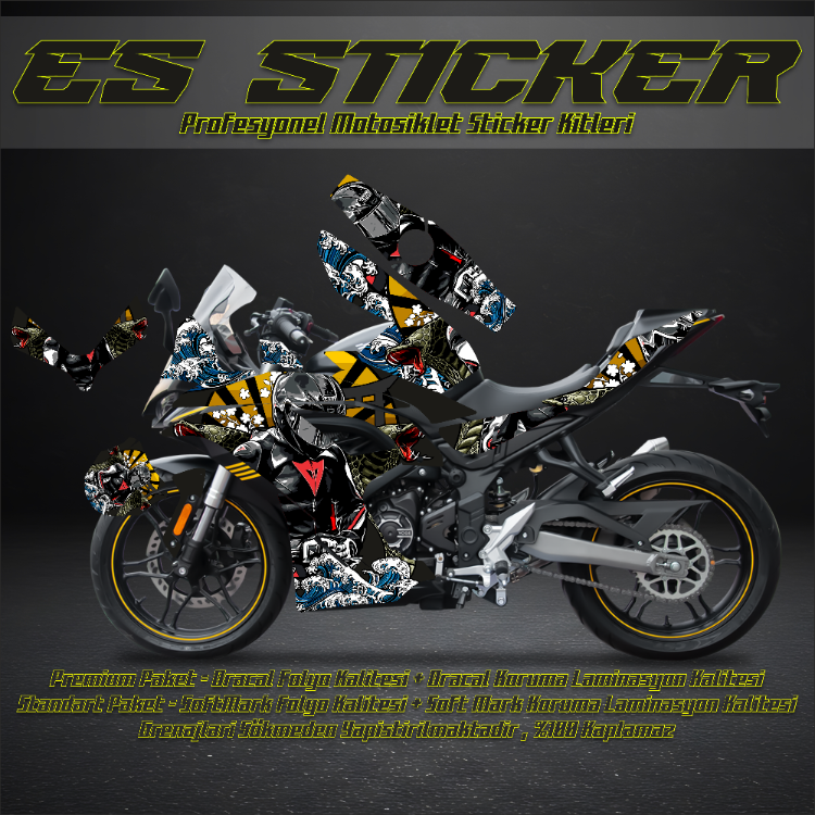 VOGE 250 RR KAPLAMA SETİ