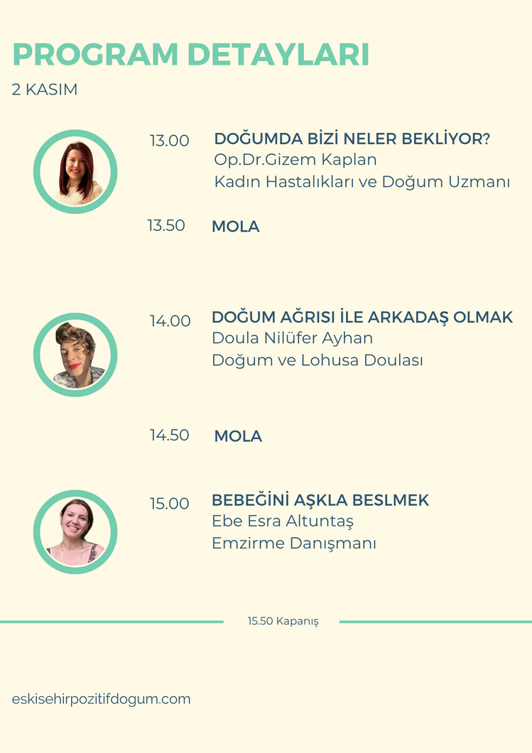 Gebe Festivali Bileti
