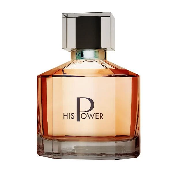 His Power Erkek Parfümü Edp 100 ml