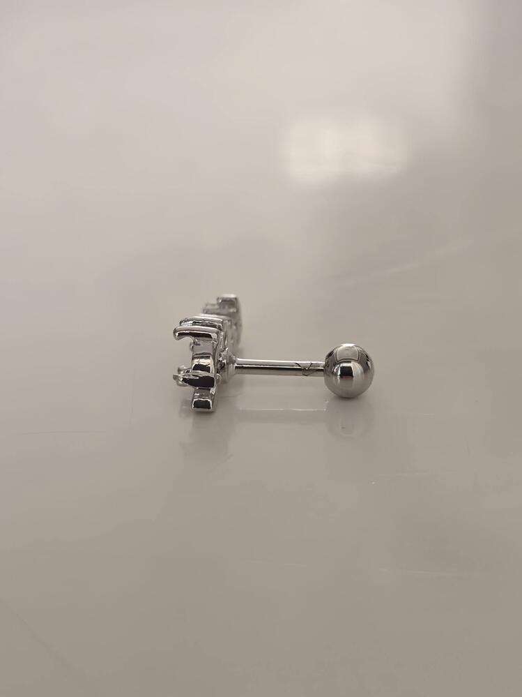 Deniz Atı Model Kıkırdak Piercing Tragus Helix Silver Gümüş Renk Küpe - 1433