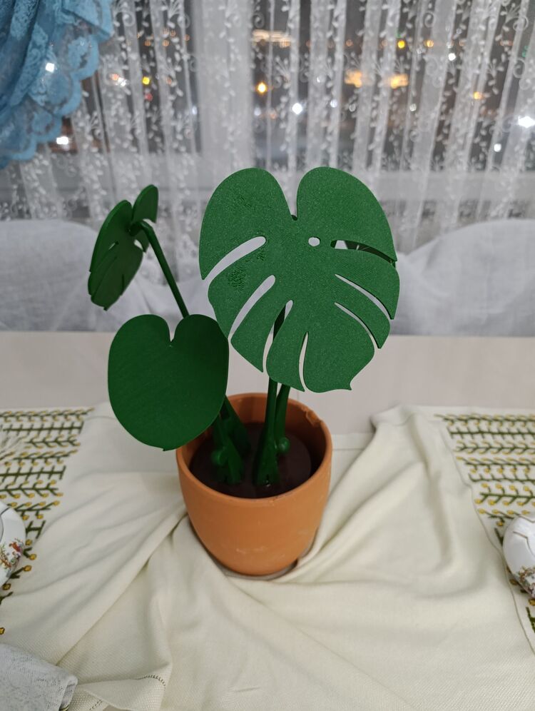 Monstera Plant Bardak Altlığı