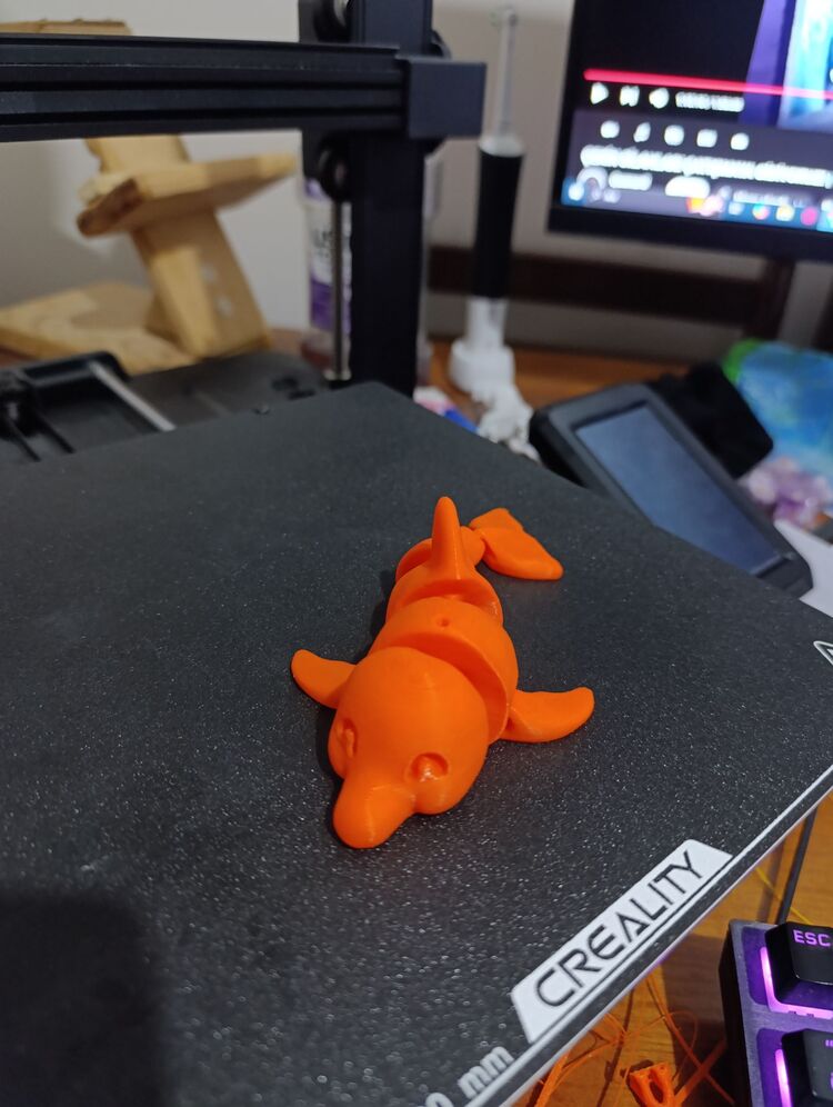 Yunus Balığı fidget toy