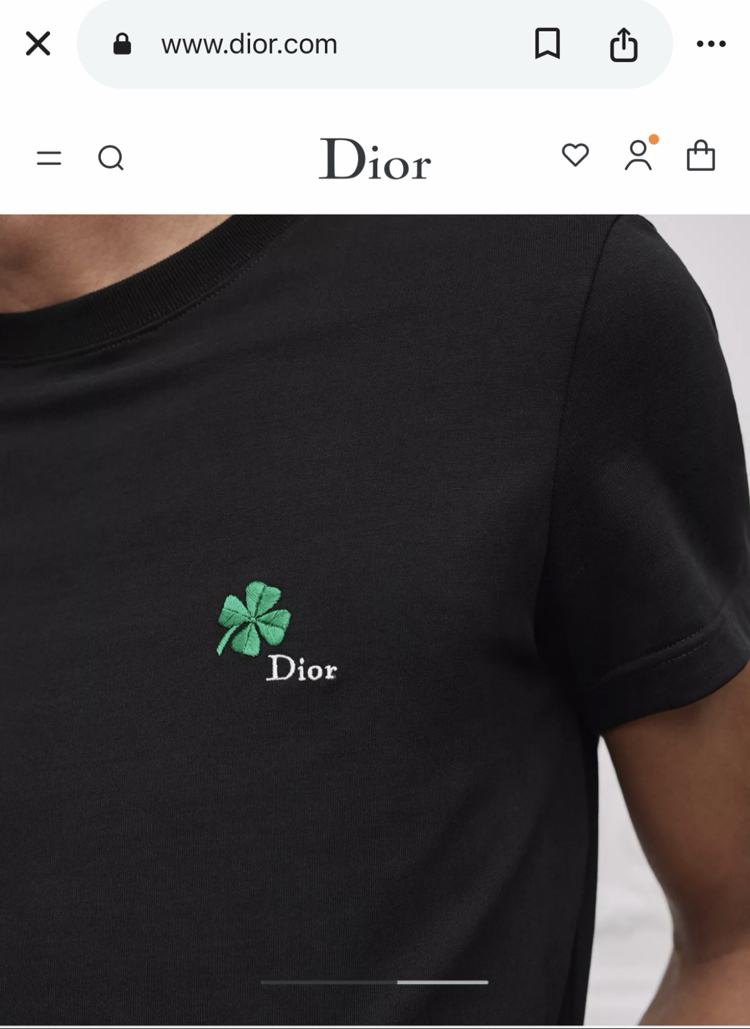 Dior Logo T-shirt ( İthal-Ütü İstemez-NFC Aktif)