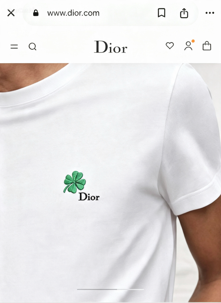 Dior Logo T-shirt ( İthal-Ütü İstemez-NFC Aktif)