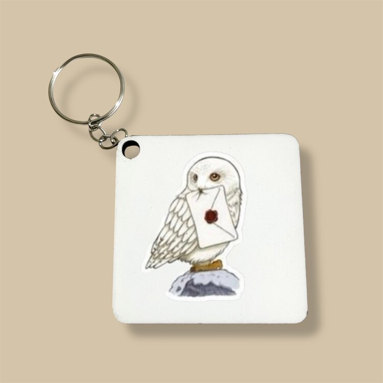 Harry Potter Hadwig anahtarlık
