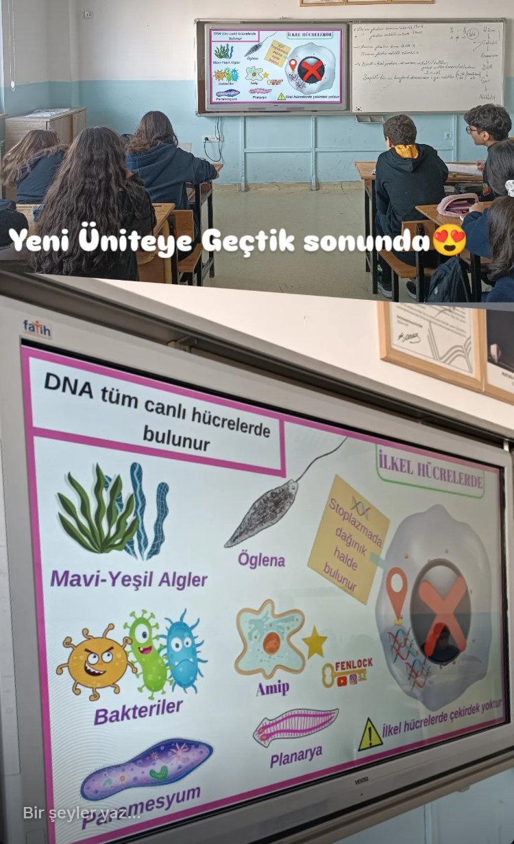 Ömürlük Ders Notları