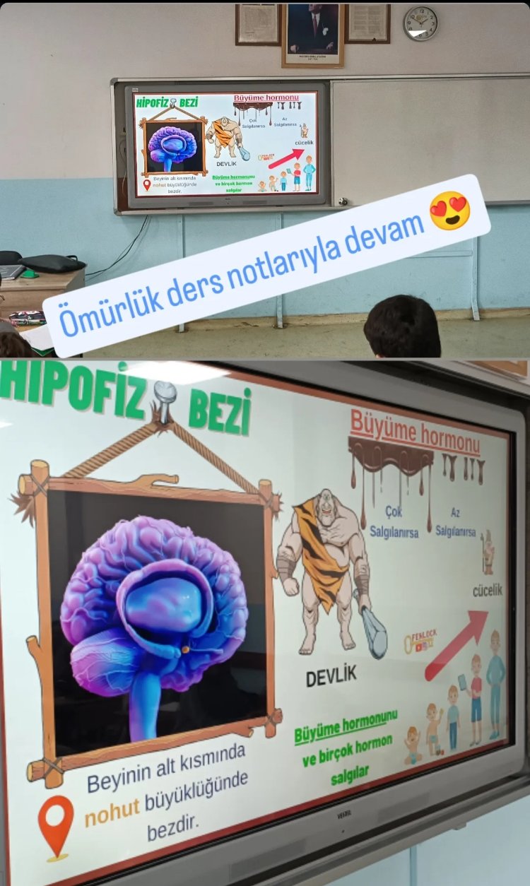 Ömürlük Ders Notları
