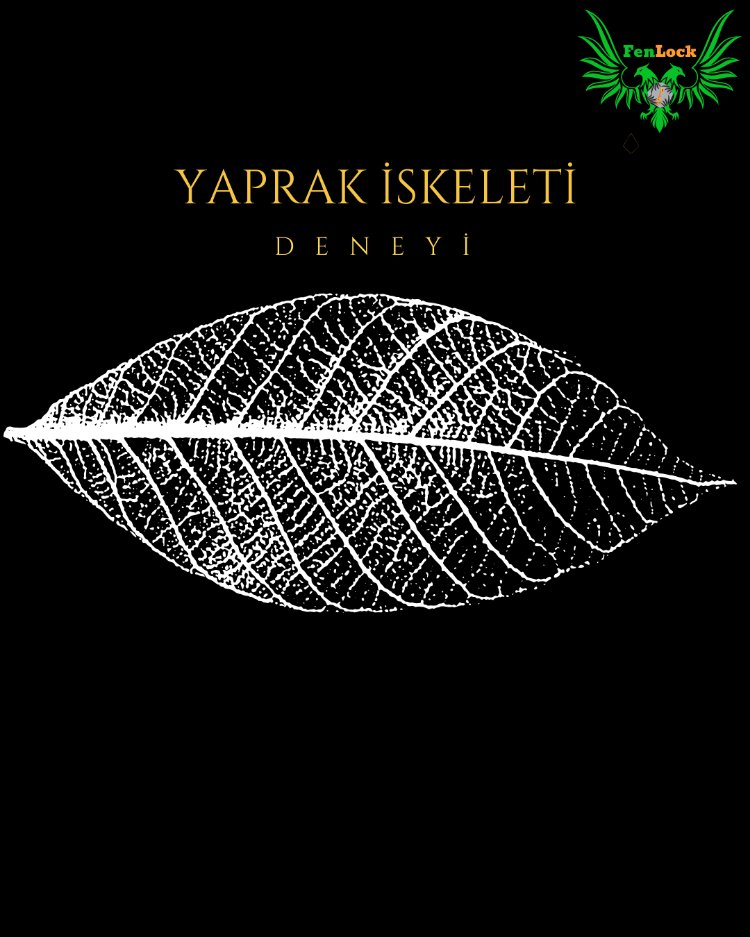 Yaprak İskeleti
