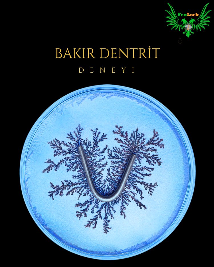 Bakır Dendrit