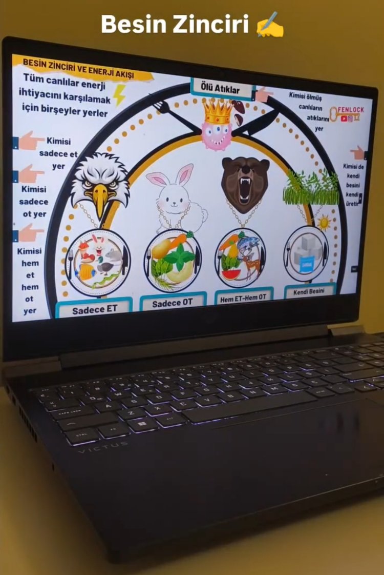 Ömürlük Ders Notları