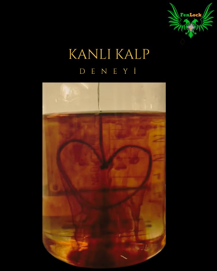 Kanlı Kalp