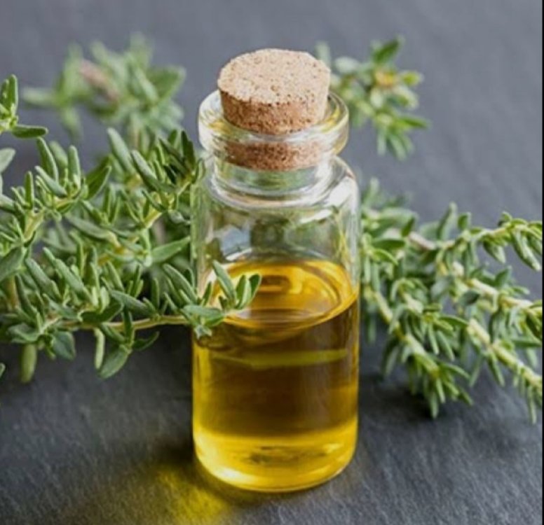 Kekik Uçucu Yağı 20 ml.