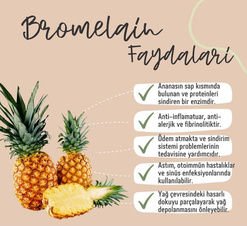 Bromelain Sirkesi 250 ml.