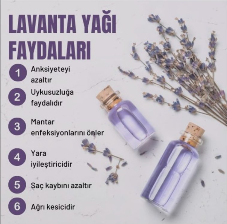 Lavanta Uçucu Yağı 20 ml.
