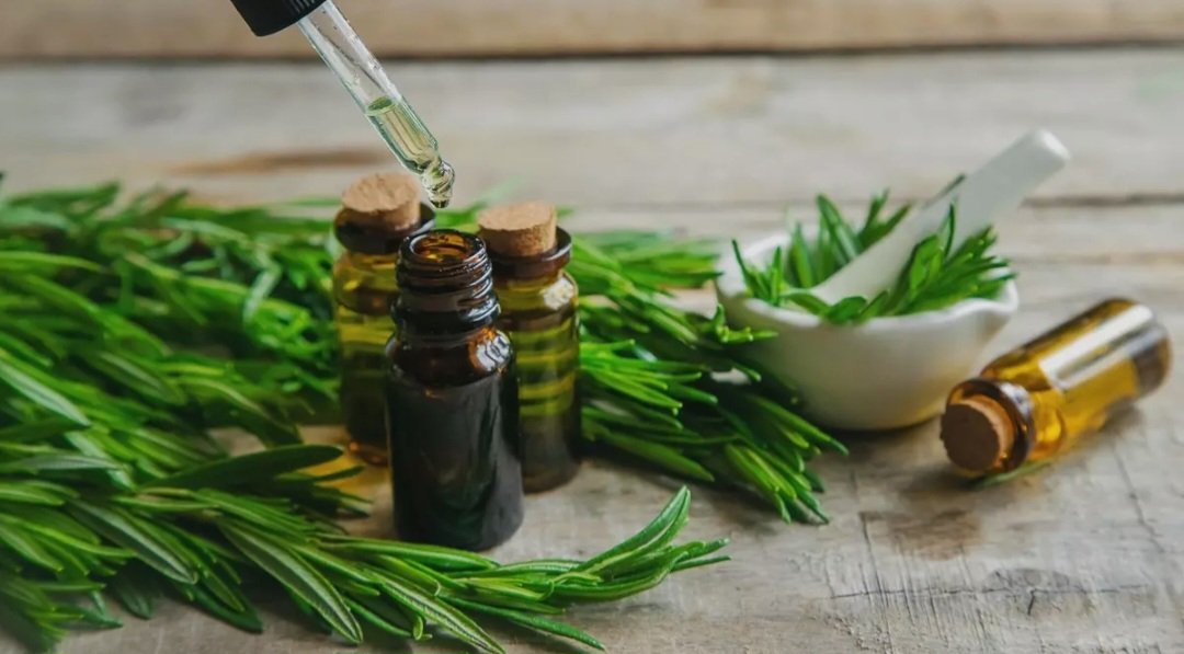 Biberiye Uçucu Yağı 20 ml.