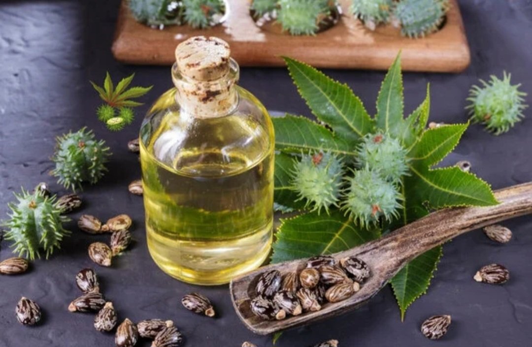 Hint Yağı 50 ml.