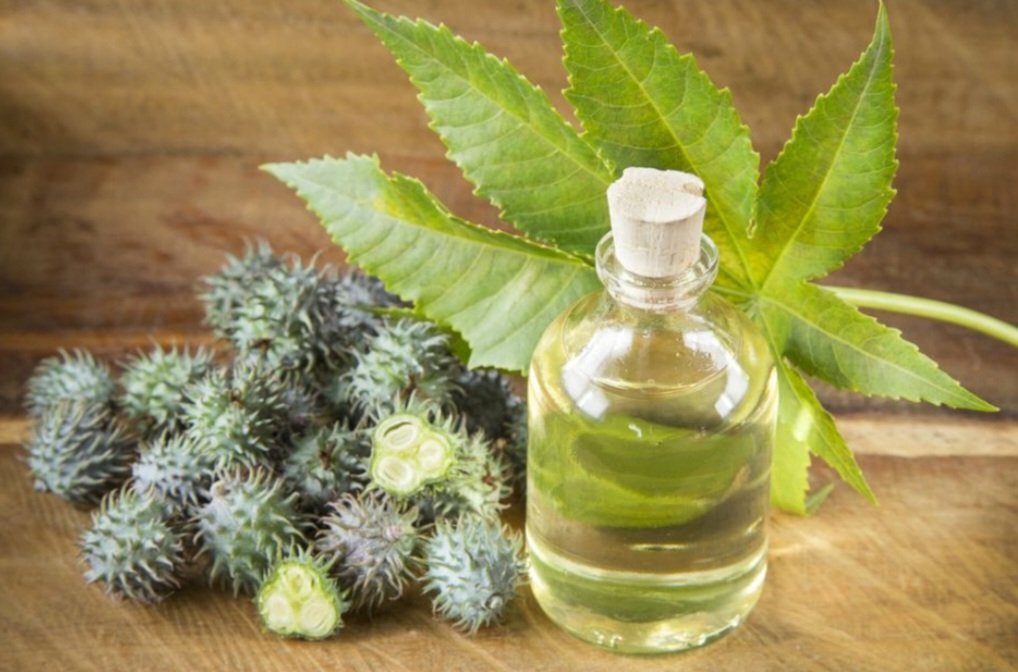 Hint Yağı 50 ml.