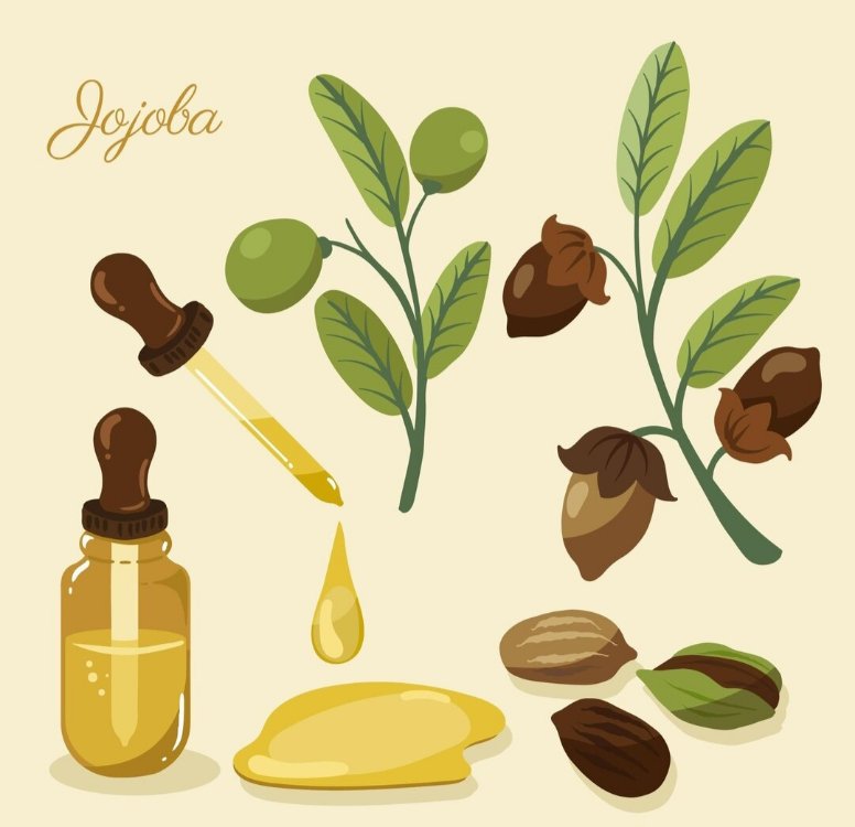 Jojoba Yağı 50 ml.