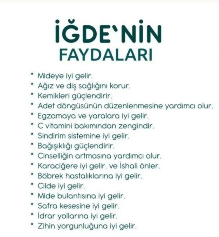 İğde Sirkesi 250 cc