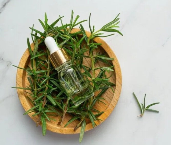 Biberiye Uçucu Yağı 20 ml.