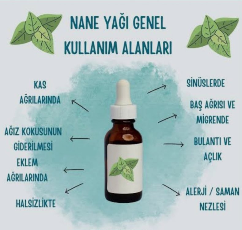 Nane Uçucu Yağı 20 ml.