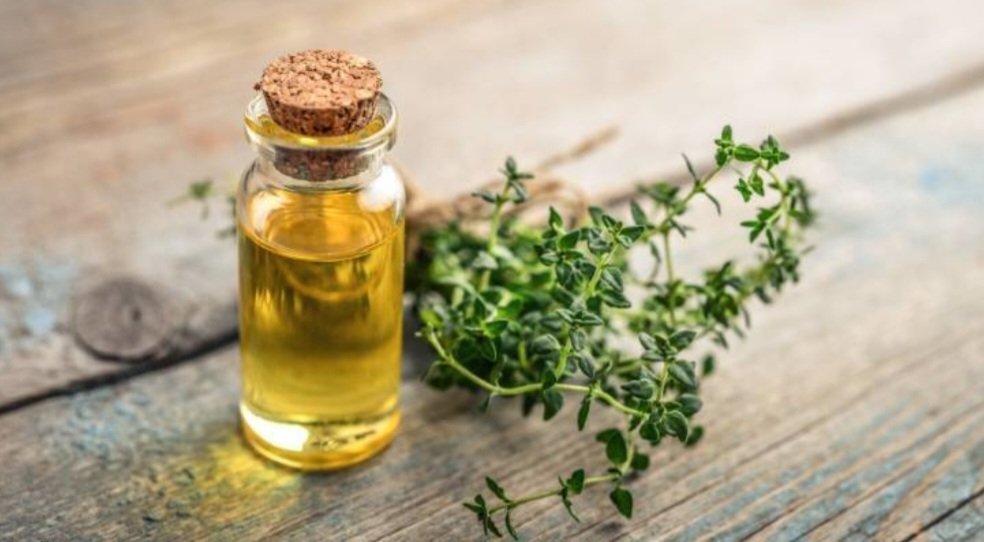 Kekik Uçucu Yağı 20 ml.