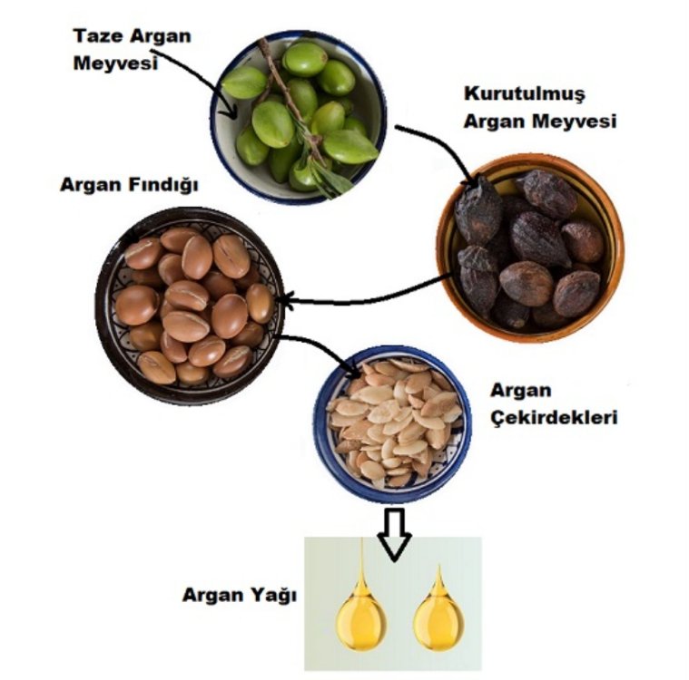 Argan Yağı 50 ml.