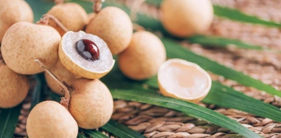 Longan Sirkesi Shot Boy 100 ml.