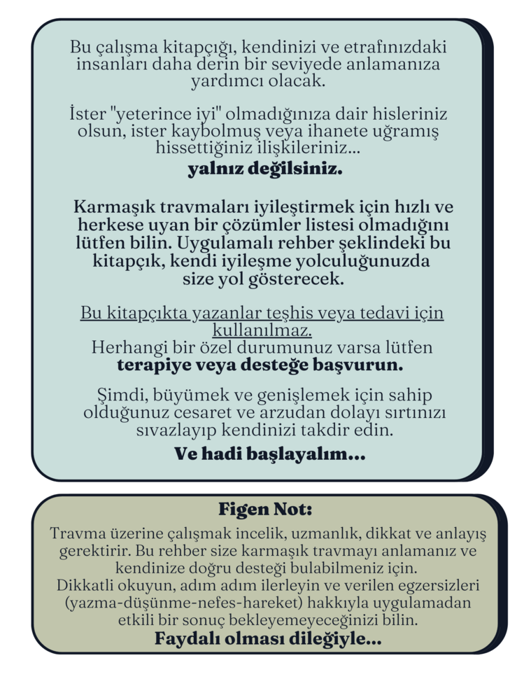 Karmaşık Travma E-Kitap