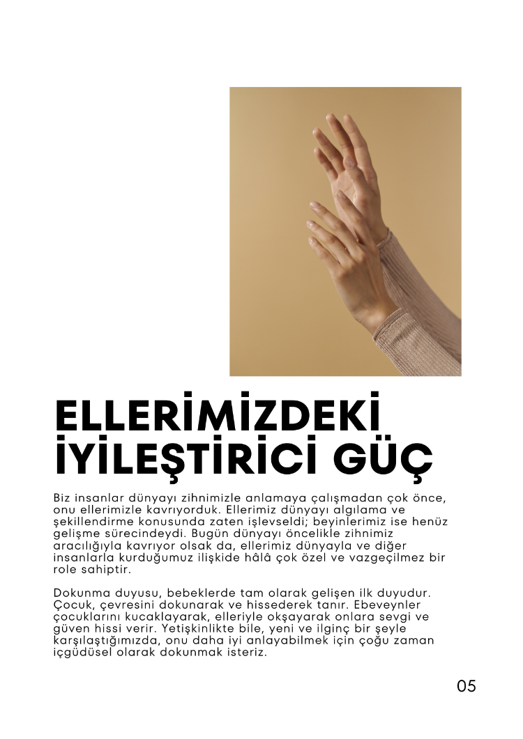 Interaktif Shiatsu Kitabı + Rehberli Başlangıç Programı
