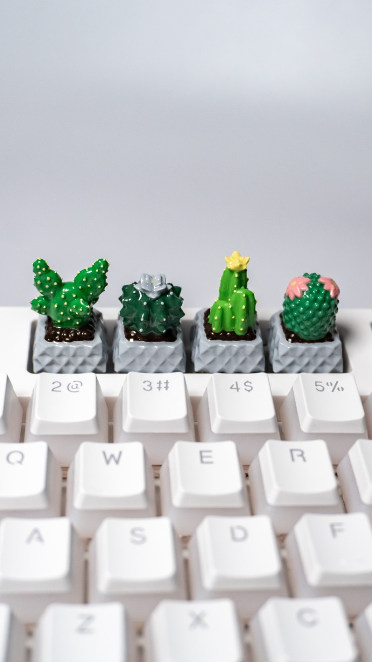 Cactus 4'lü Set 