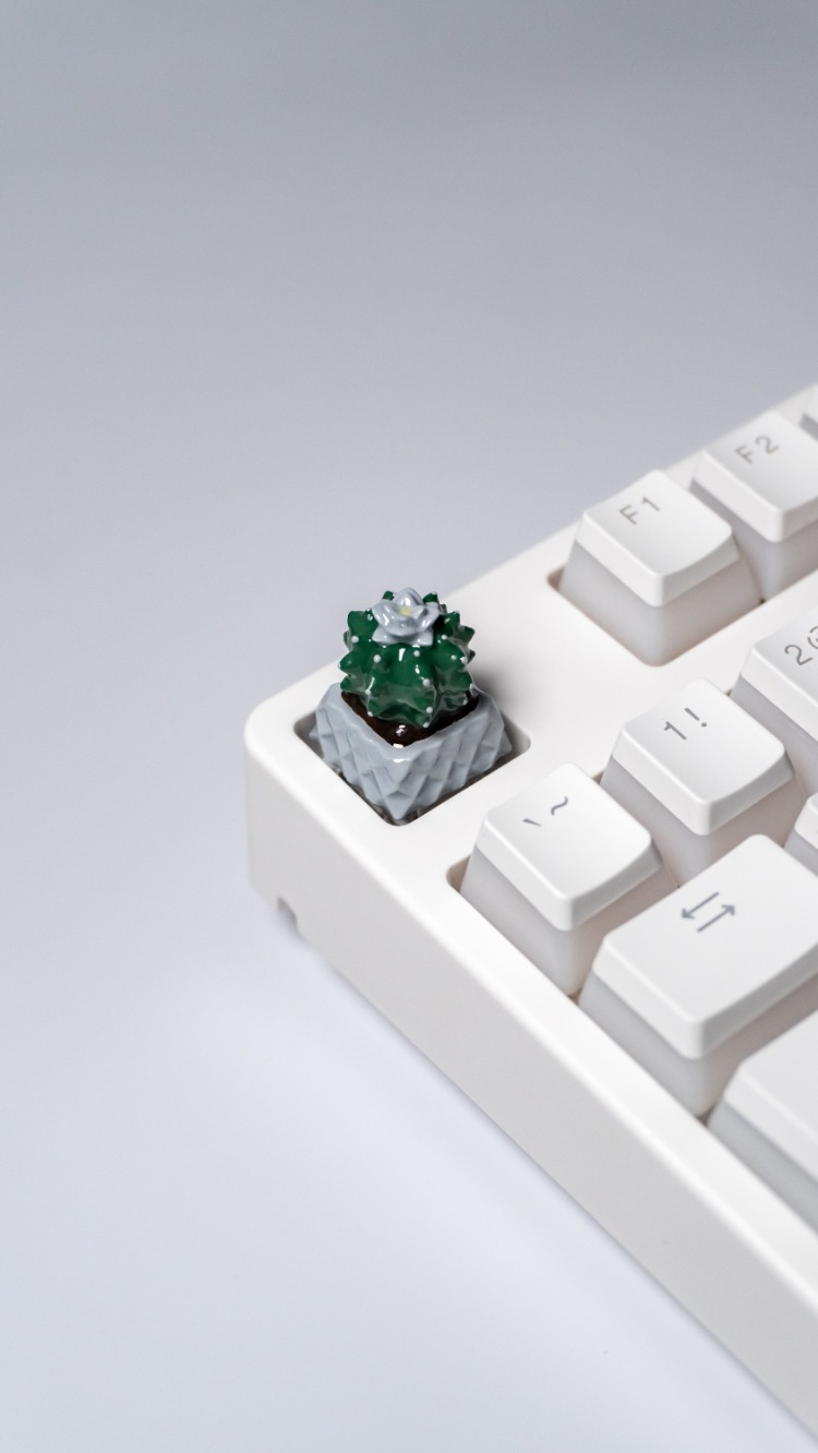 Cactus2 Keycap