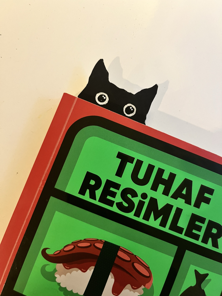 13 adet kitap ayracı (bıçak hariç)