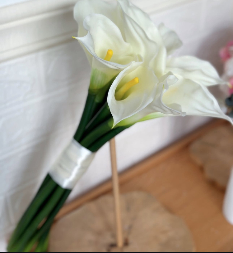 Calla lily