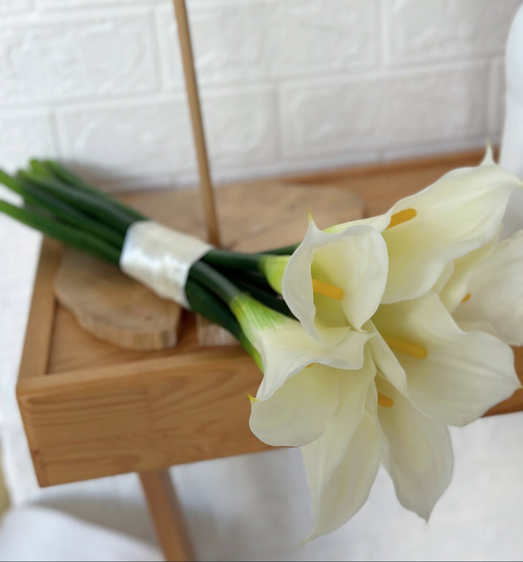 Calla lily