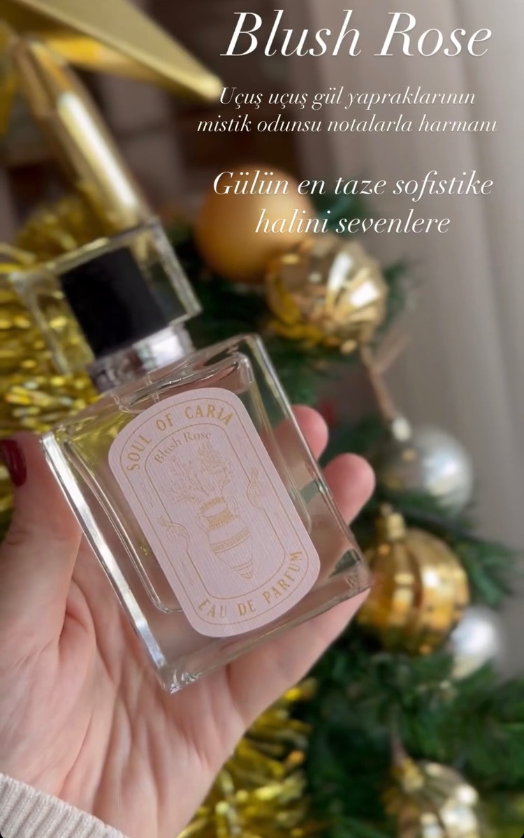 Blush Rose - EAU DE PARFUM - 50ml 