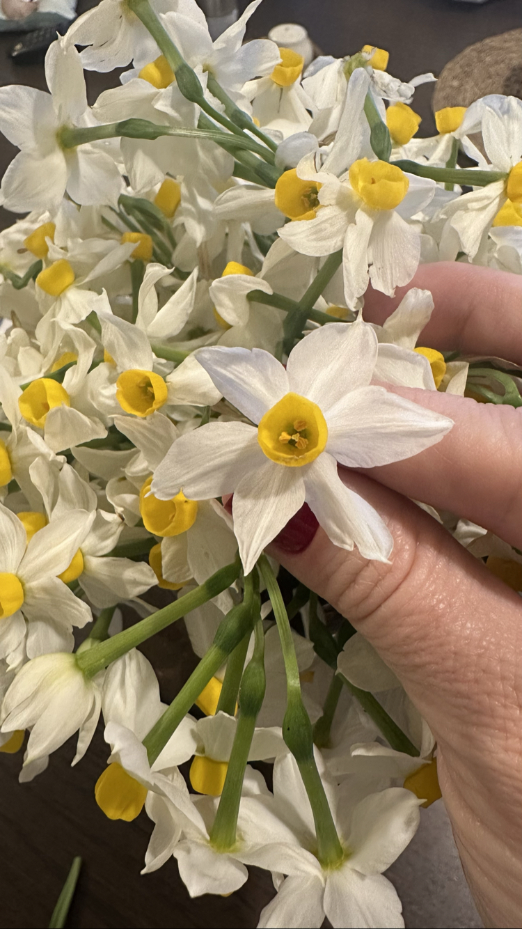 NARCISSUS Artisan Kolonya 3lü İndirimli SET