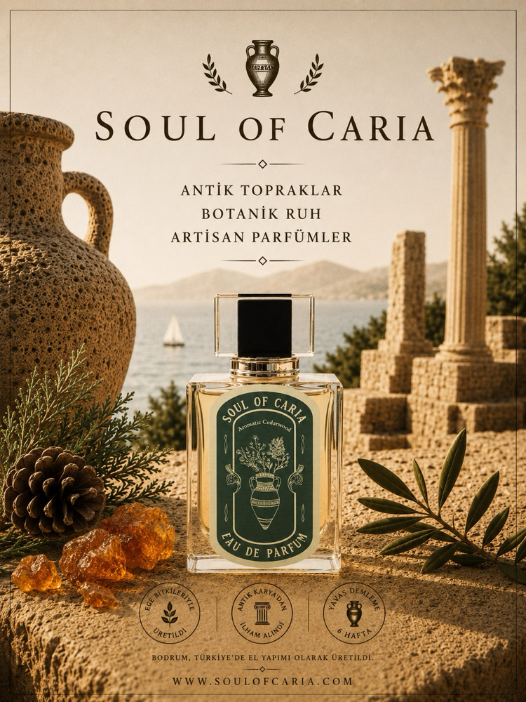 Soul of Caria AROMATIC CEDARWOOD Eau de Parfum - 50ml