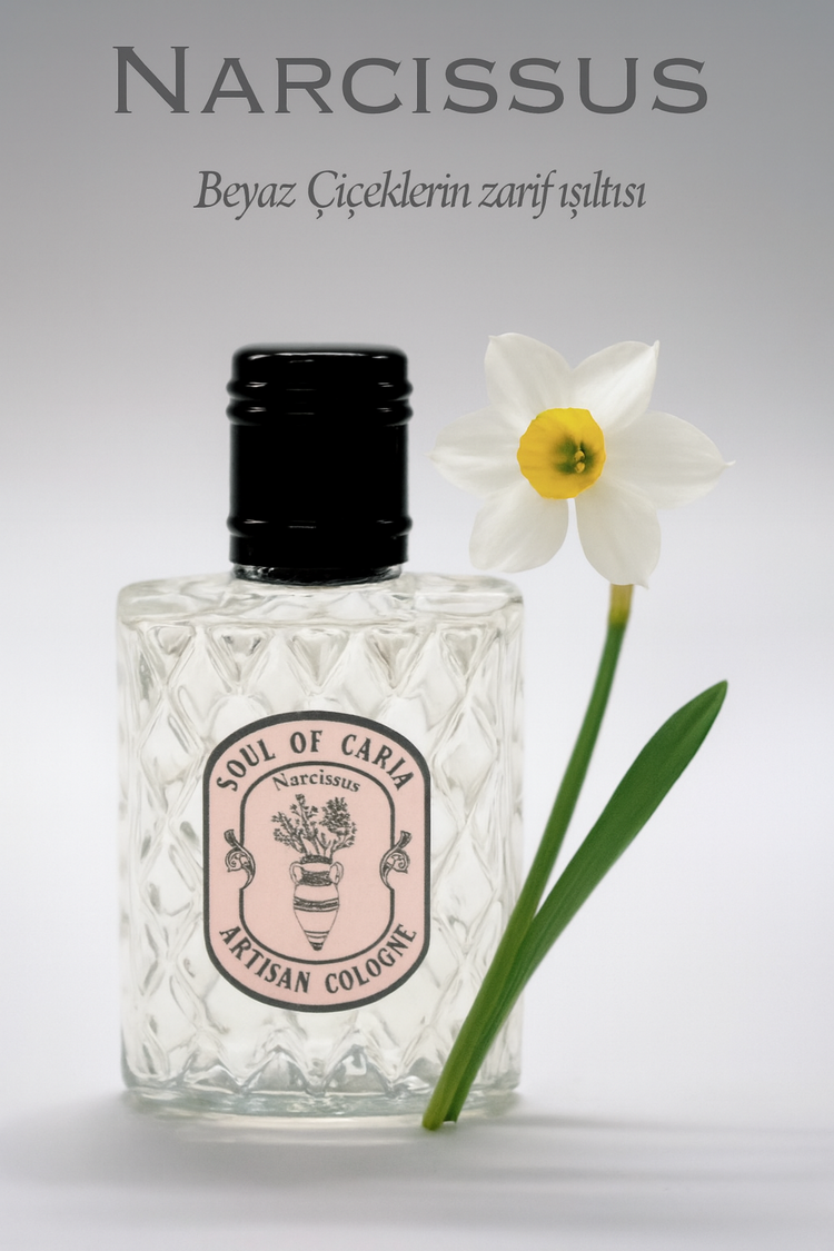 Soul of Caria NARCISSUS Kolonyası - 50ml