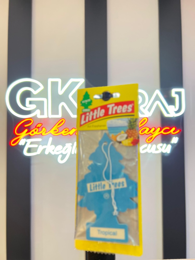 LİTTLE TREES