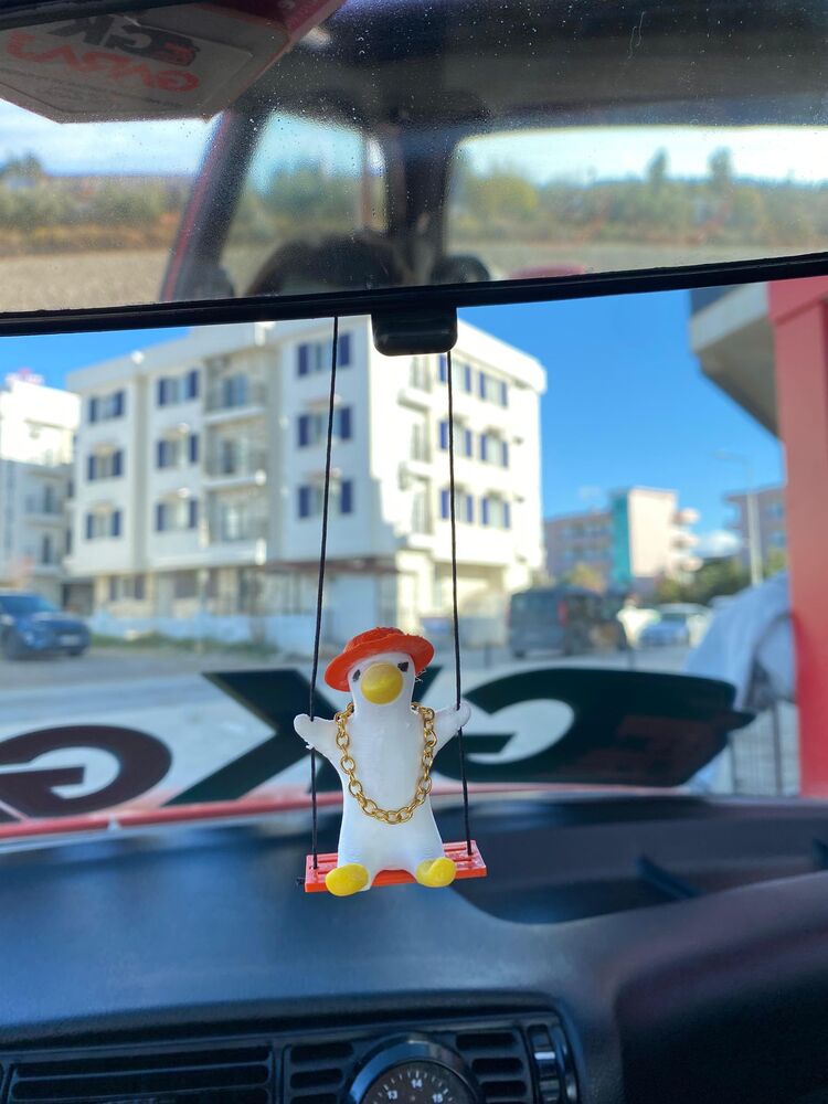 SALLANAN DIKIZ AYNA SUSU