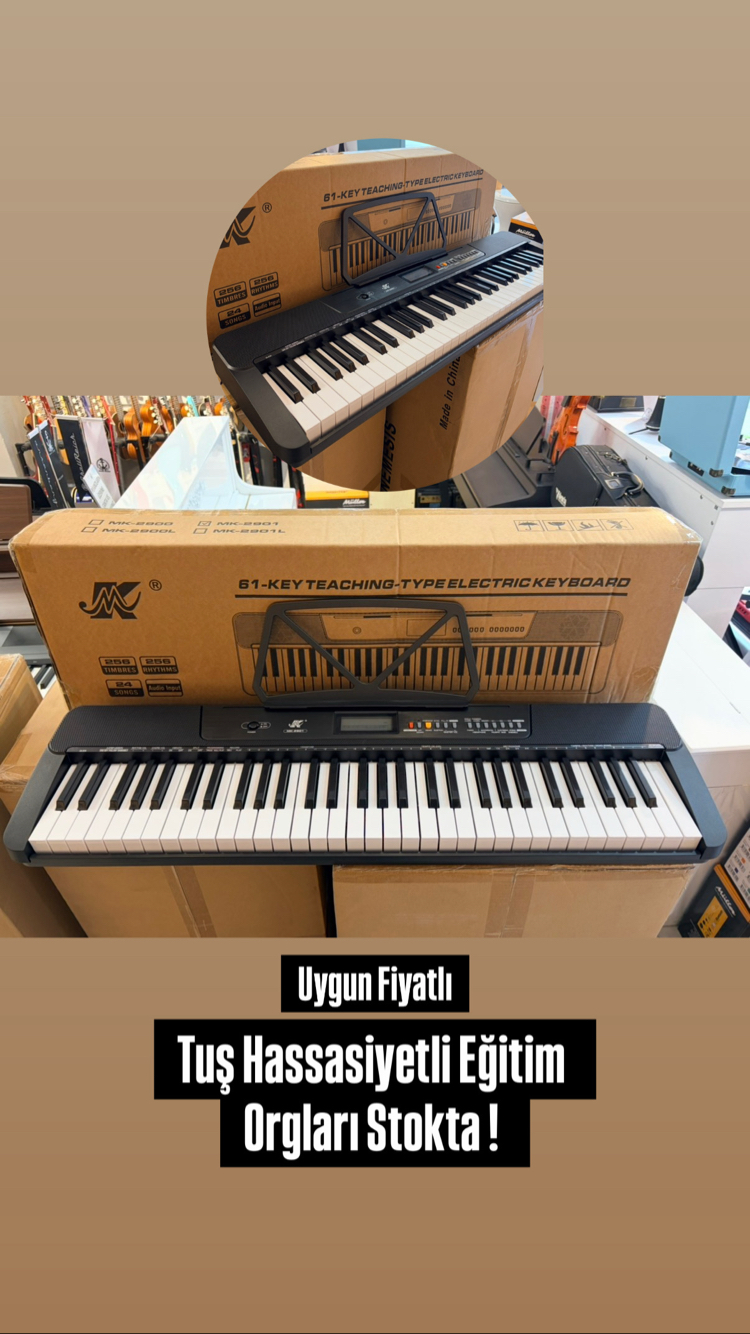 Öğrenci Seviyesi Eğitim Orgu 