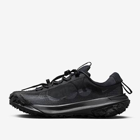 Nike Acg Mountain Fly 2 Low Trail
