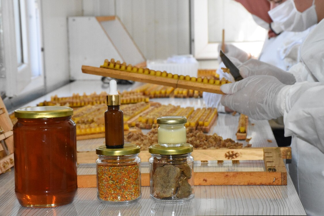  KADINLAR için ÖZEL 490 gr