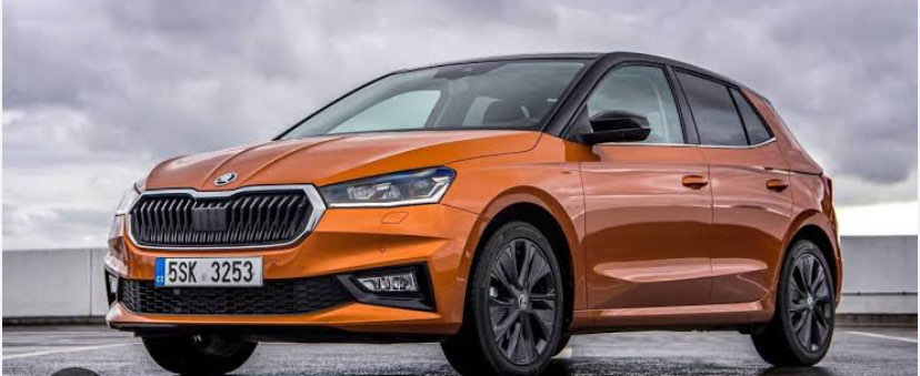 Skoda FABIA bagaj ayırıcı