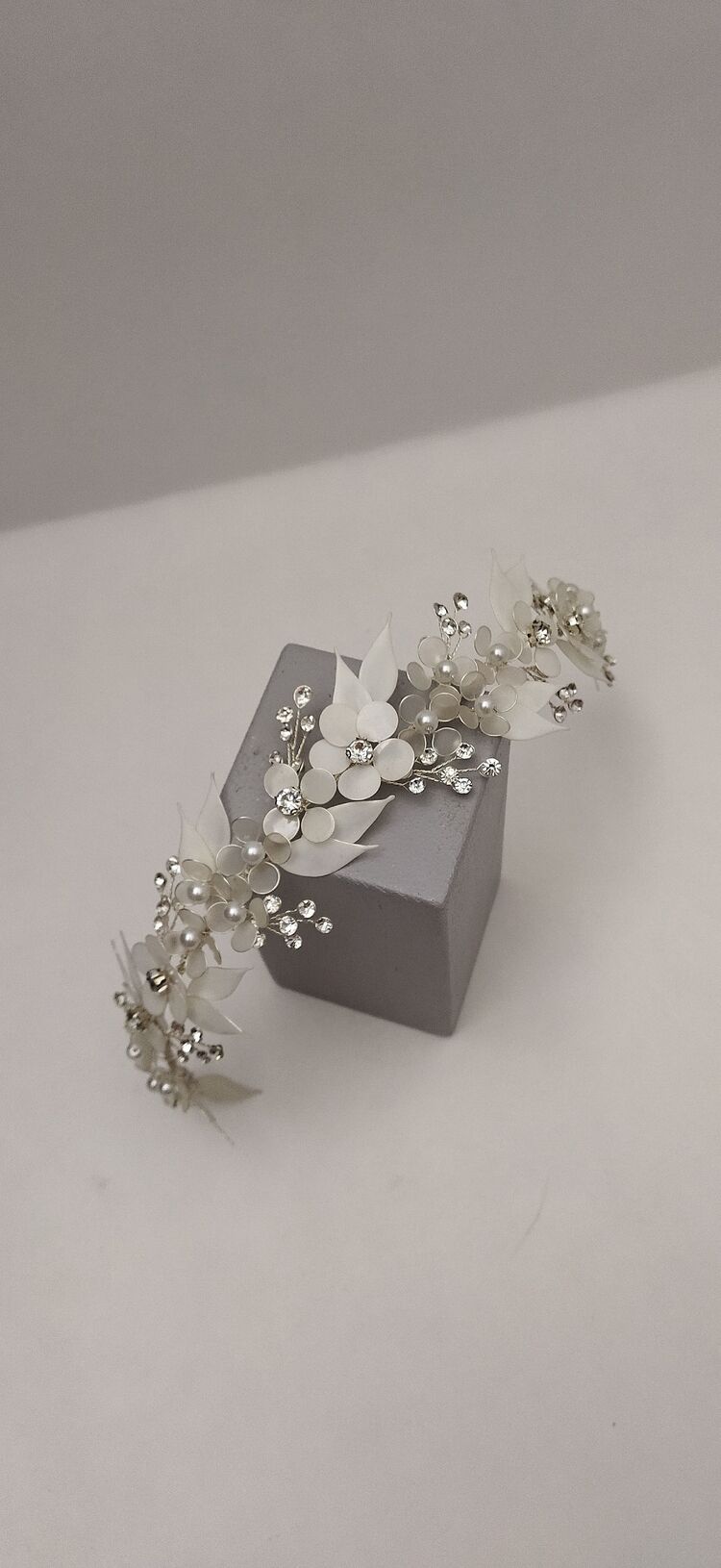 AGNES MODEL